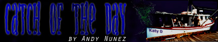 Catch of the Day by Andy Nunez