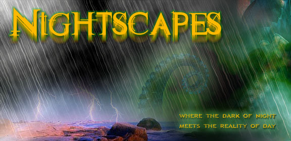 Nightscapes -- Where the dark of night meets the reality of day